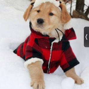 Meet your Posher, Jose